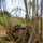 Marines with 1st Intel Bn. Conduct Field Exercise Marines with 1st Intel Bn. Conduct Field Exercise