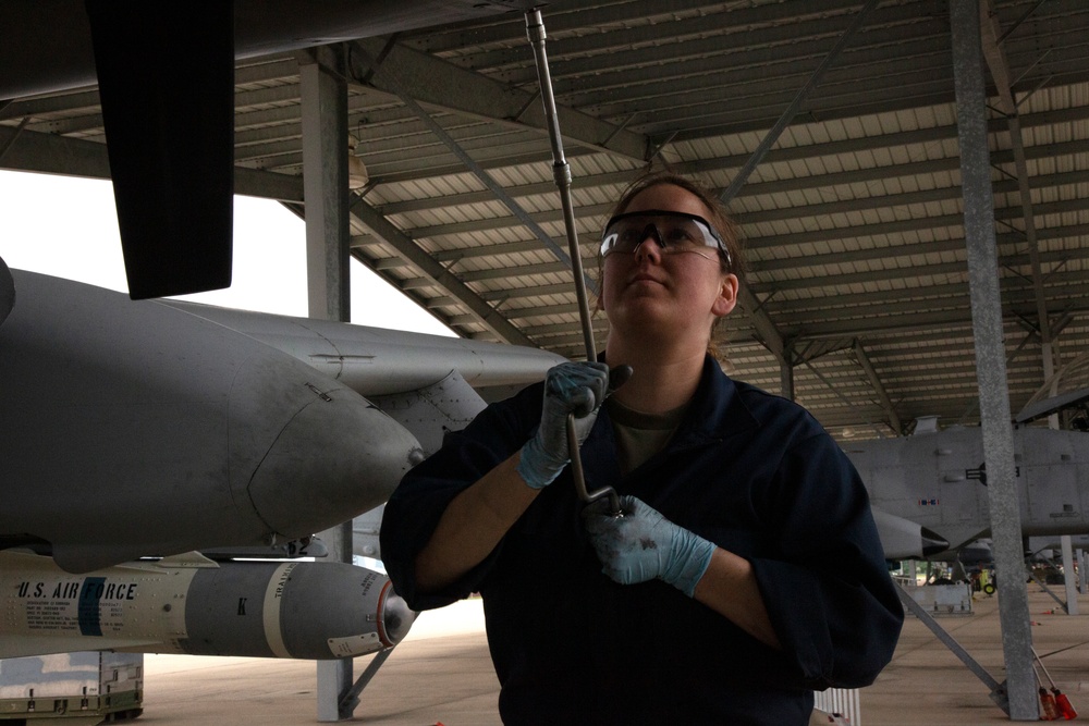 Members of the 175th Aircraft Maintenance Squadron prepare and launch aircraft