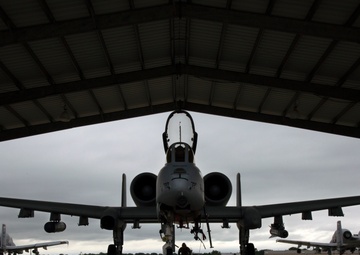 Members of the 175th Aircraft Maintenance Squadron prepare and launch aircraft