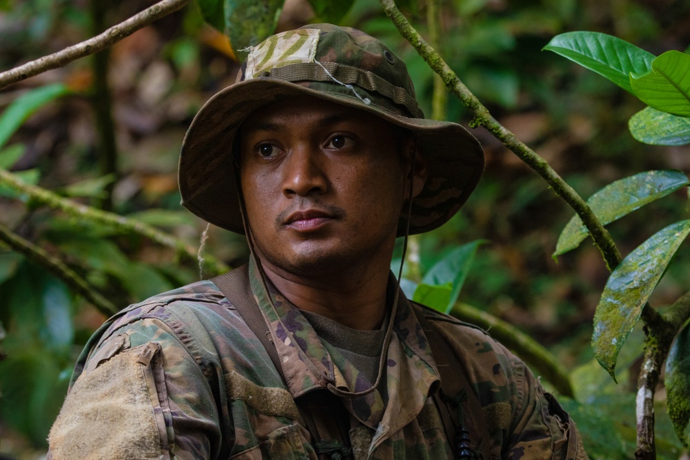 25th Infantry Division Jungle Operations Training Course