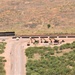 Tucson 3 Border Barrier Project