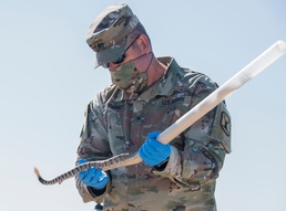 There’s a snake in my boot – Key military leaders assist with tagging and the study of rattlesnakes