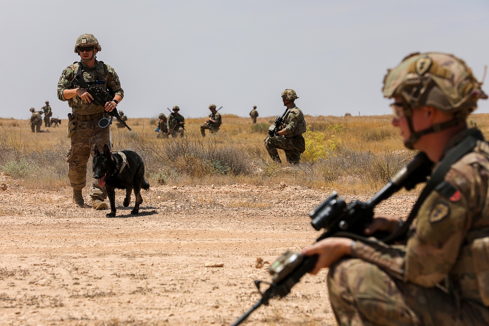 Joint Combat Reconnaissance Patrol with U.S. and Norwegians