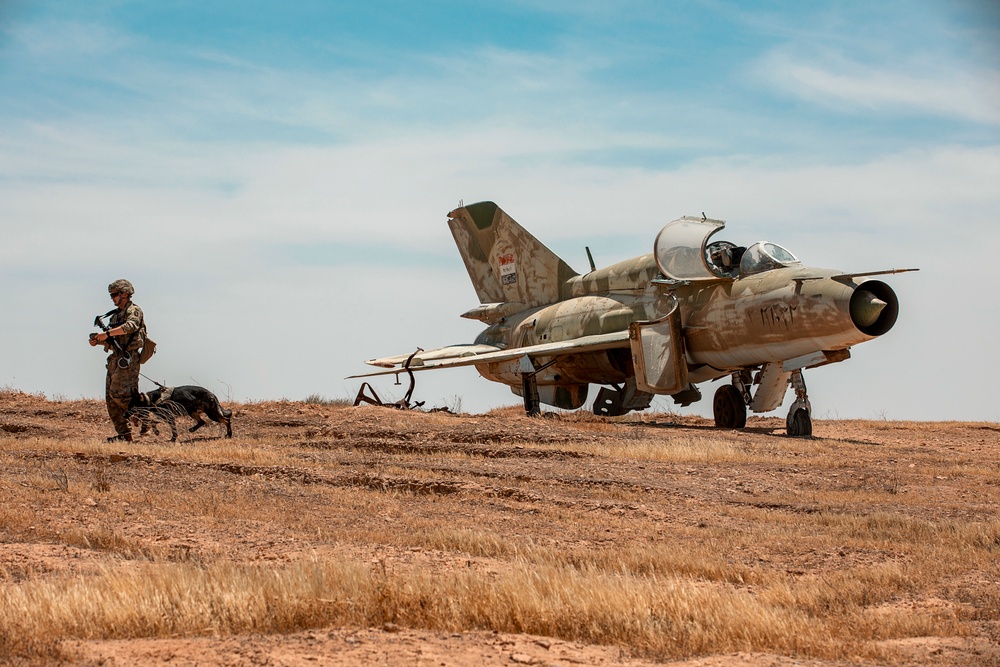 Joint Combat Reconnaissance Patrol with U.S. and Norwegians