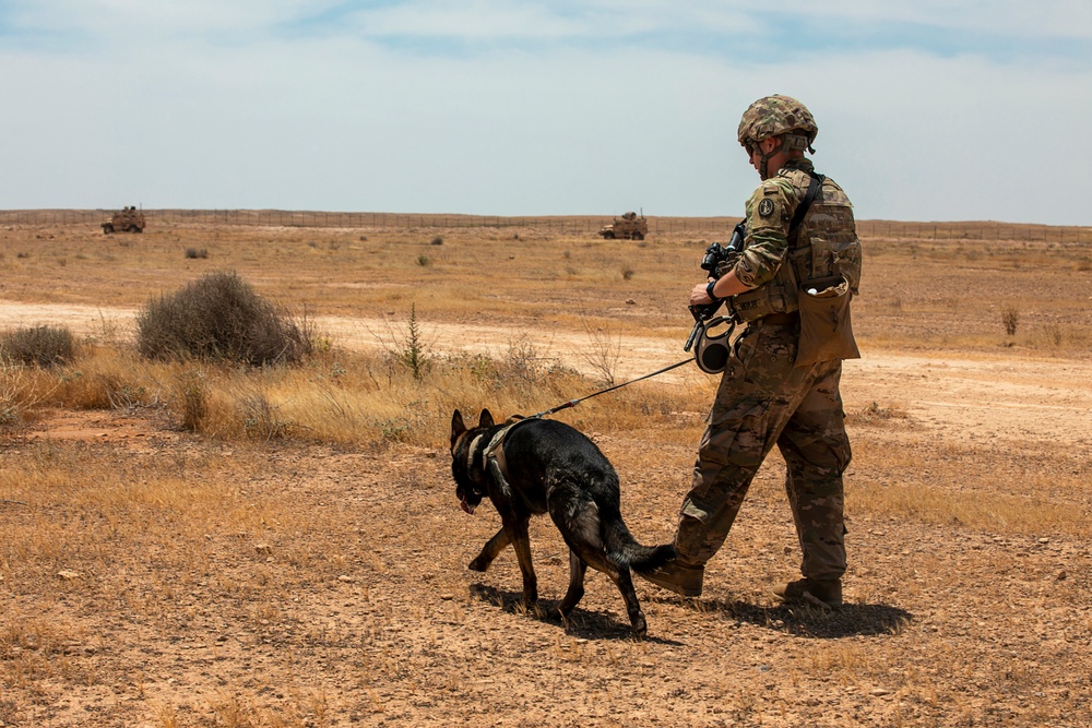 Joint Combat Reconnaissance Patrol with U.S. and Norwegians