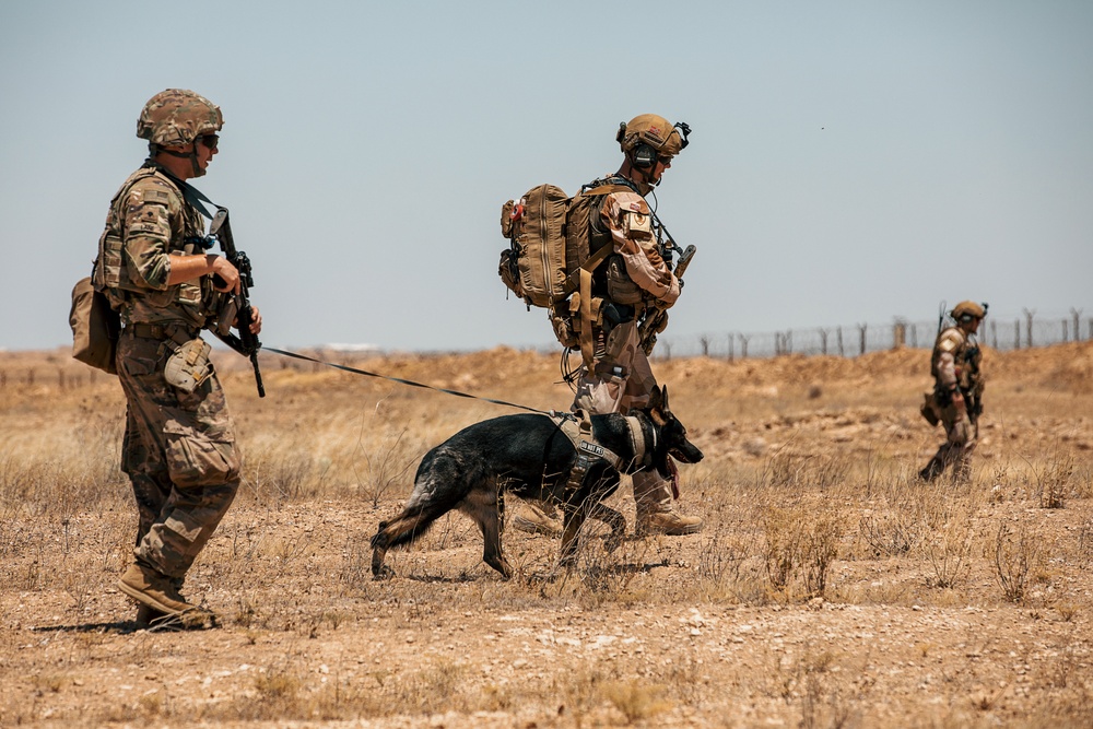 Joint Combat Reconnaissance Patrol with U.S. and Norwegians