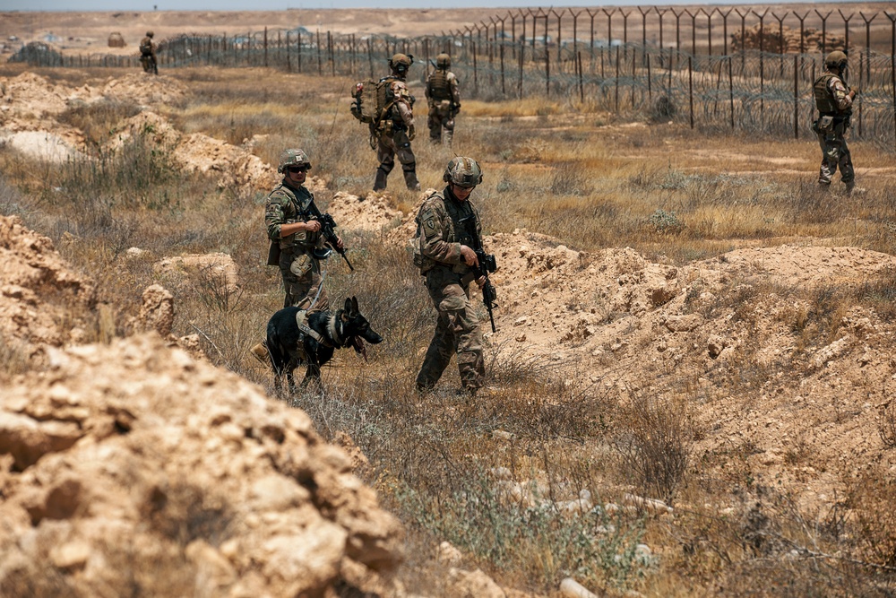 Joint Combat Reconnaissance Patrol with U.S. and Norwegians