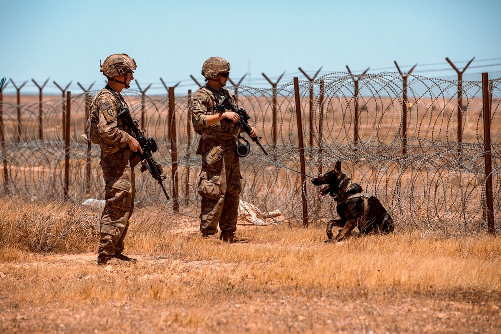 Joint Combat Reconnaissance Patrol with U.S. and Norwegians