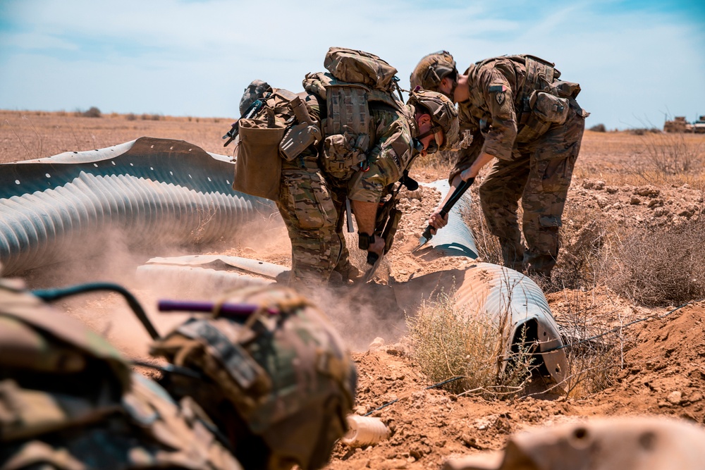 Joint Combat Reconnaissance Patrol with U.S. and Norwegians