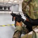 M4 carbine qualification