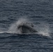 200705-N-FA490-1041