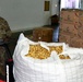 Arizona National Guard packages and delivers produce for Tombstone residents