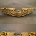 A legacy of wings