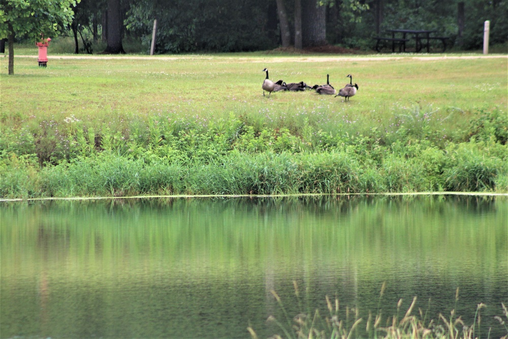 Fort McCoy's Pine View Recreation Area