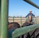 Recce Town cattle load up, head out
