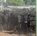 Recce Town cattle load up, head out