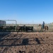 Recce Town cattle load up, head out
