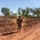 A soldier in camouflage uniform stands on a red dirt track in an arid, semi-wooded landscape, using a handheld radio. The terrain features red laterite soil, dry grass, and sparse eucalyptus-type trees under a clear blue sky. The setting is consistent with northern Australian outback or similar tropical savanna environment.