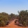 A military convoy of multiple tactical vehicles is traveling along a red dirt road through sparse Australian bushland under a clear blue sky. The vehicles appear to include HMMWVs (Humvees) and larger military trucks, some with mounted weapons or equipment visible. The red laterite soil and eucalyptus-style vegetation are characteristic of northern Australia.