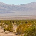 15th MEU Marines conduct TRAP training