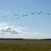 JBER Salutes local COVID-19 Heroes
