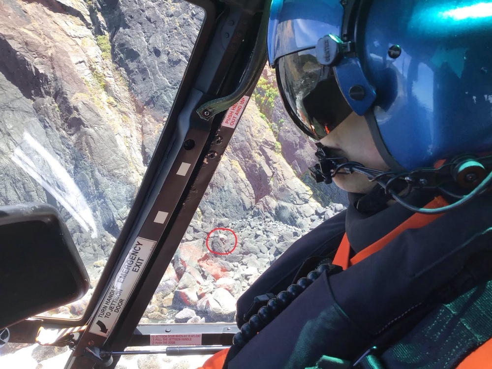 Coast Guard aircrew rescues stranded kayaker at base of Humbug Mountain, OR