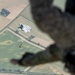 NSW practice jumps near RAF Mildenhall