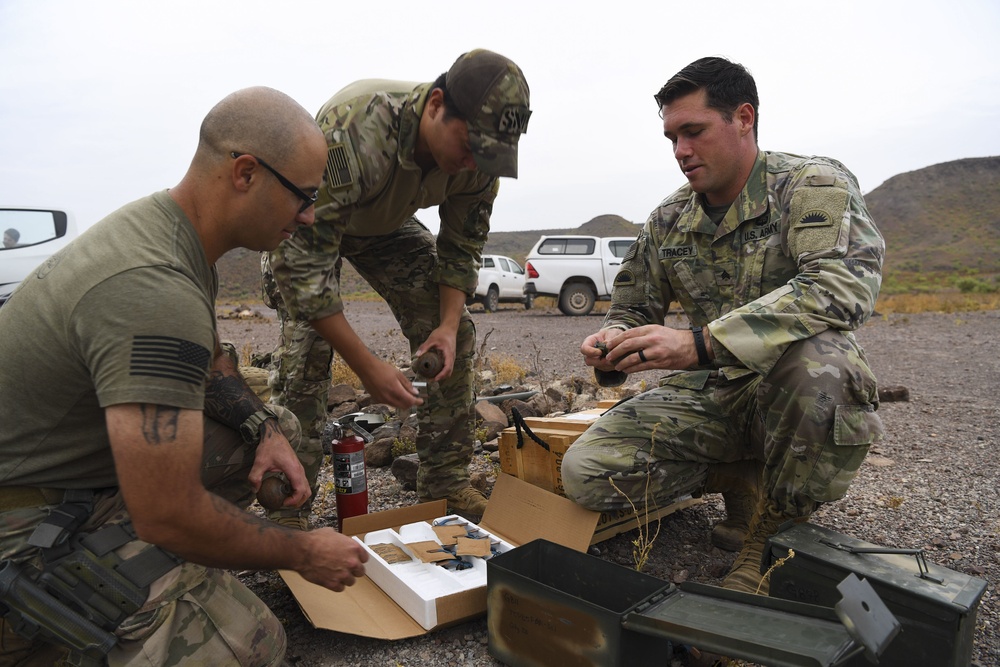 Task Force Guardian members train with live grenades