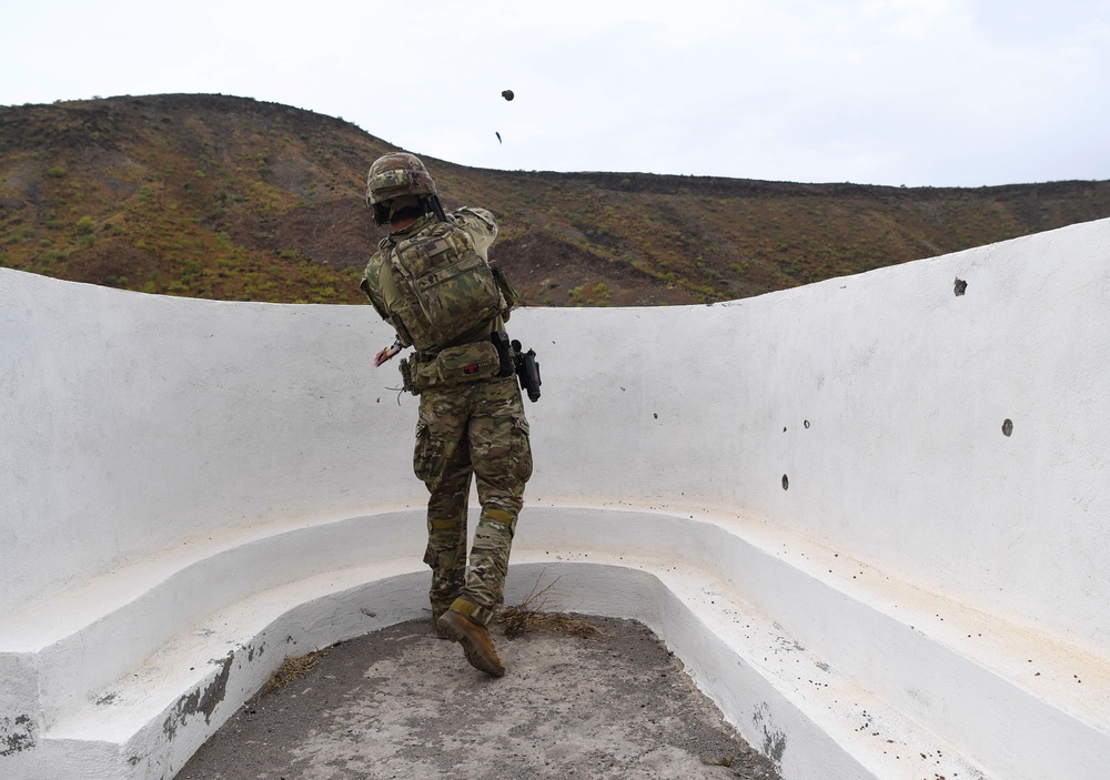 Task Force Guardian members train with live grenades