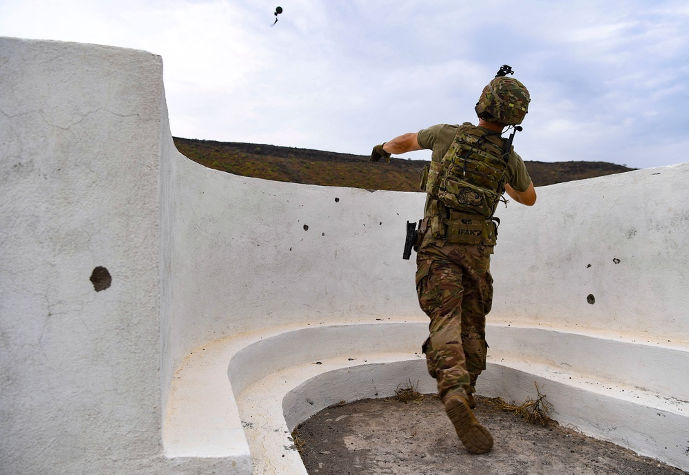 Task Force Guardian members train with live grenades