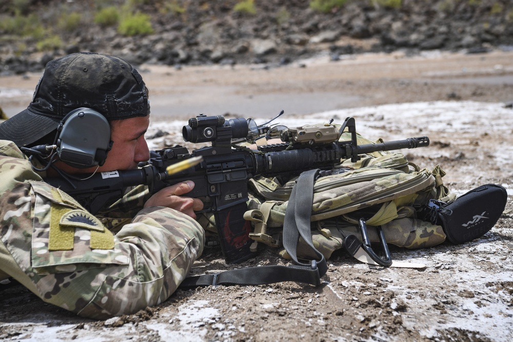 Task Force Guardian perform rifle drills