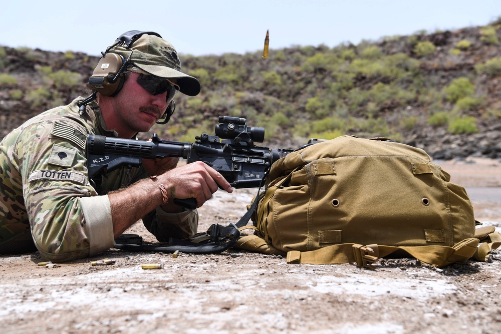 Task Force Guardian perform rifle drills