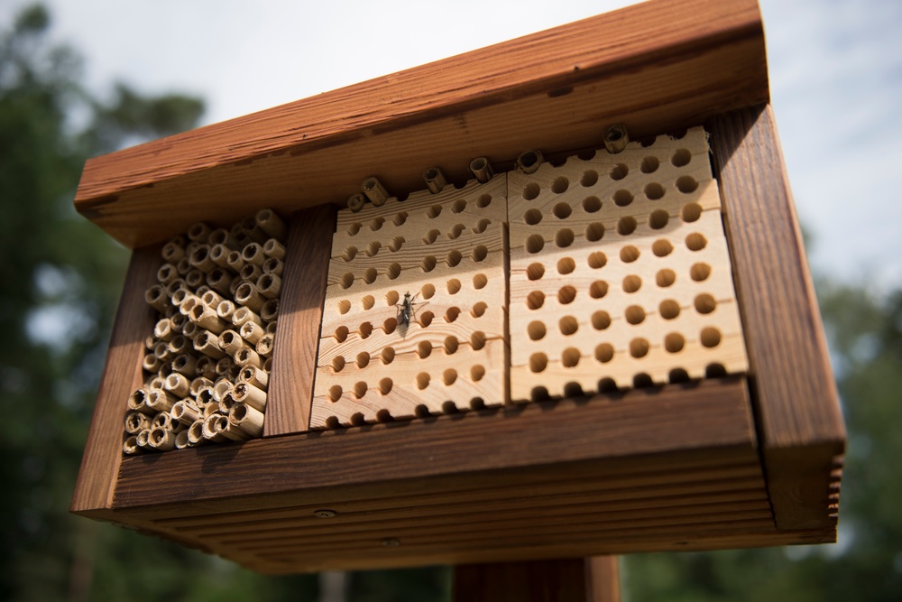 Bee our guest: Ramstein Boy Scout creates homes for bees