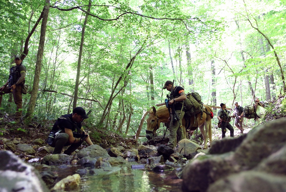 Robin Sage Exercise Tests Special Forces Students