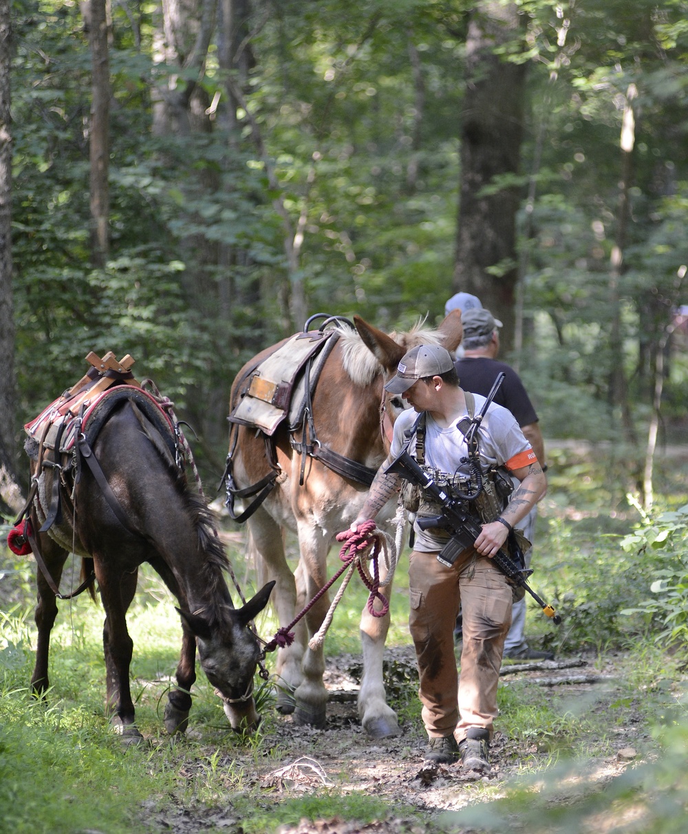 Robin Sage Exercise Tests Special Forces Students