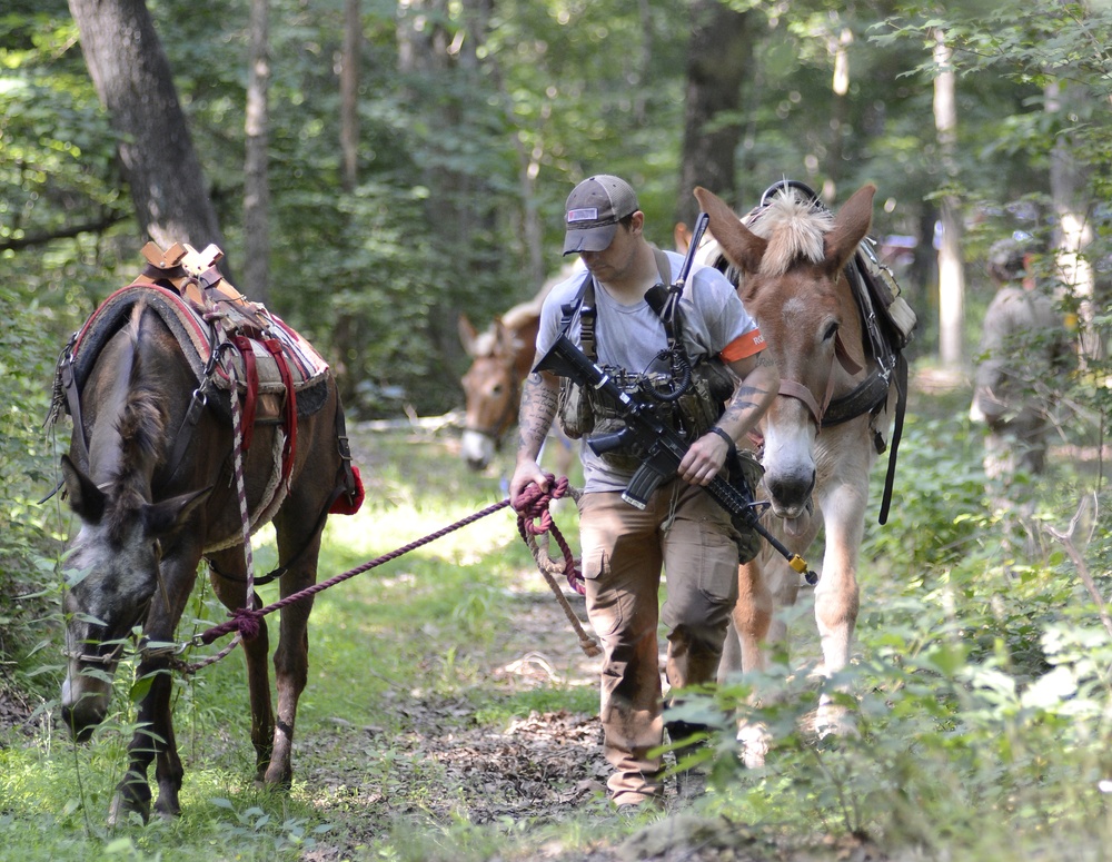 Robin Sage Exercise Tests Special Forces Students