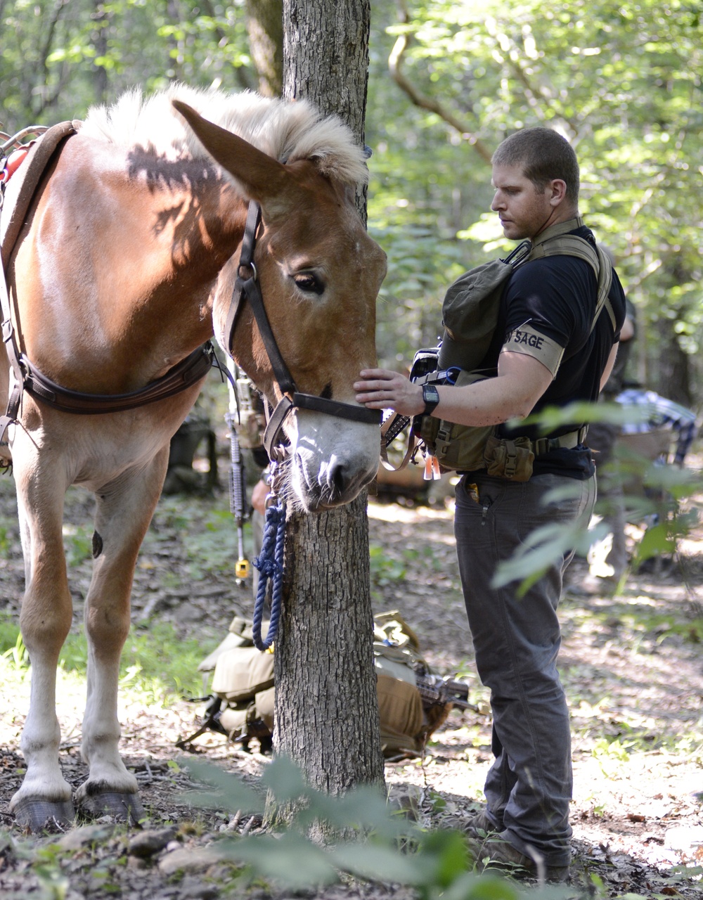 Robin Sage Exercise Tests Special Forces Students