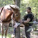 Robin Sage Exercise Tests Special Forces Students