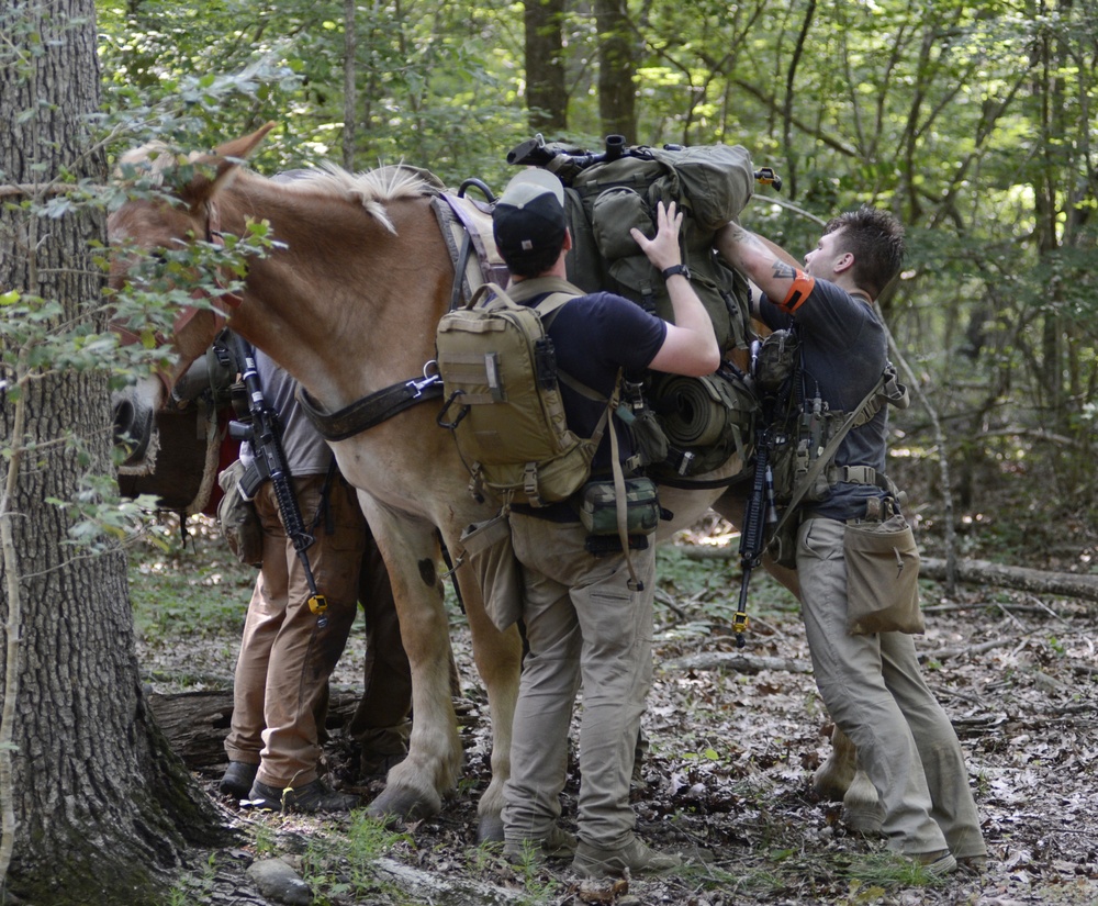 Robin Sage Exercise Tests Special Forces Students