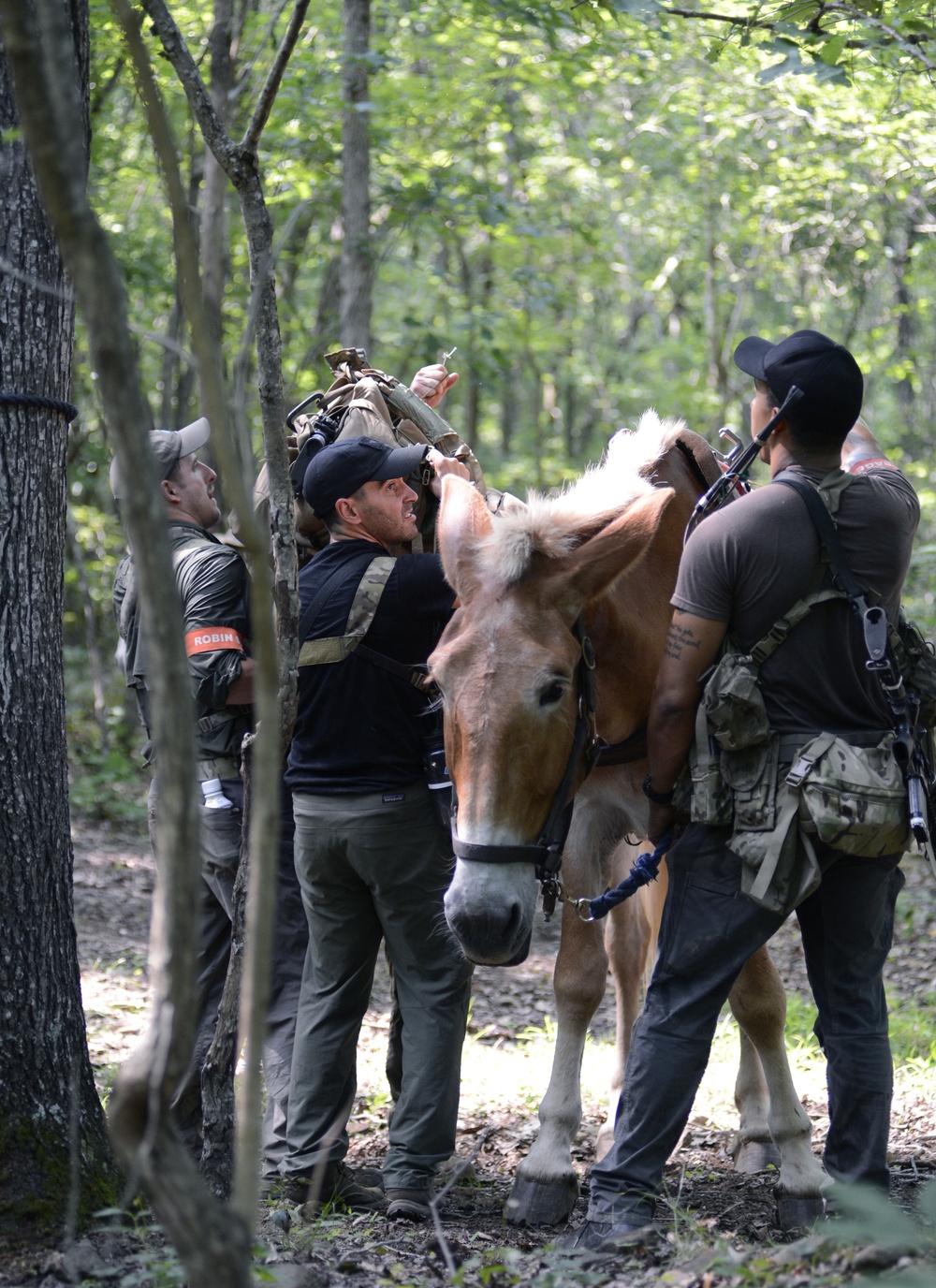 Robin Sage Exercise Tests Special Forces Students