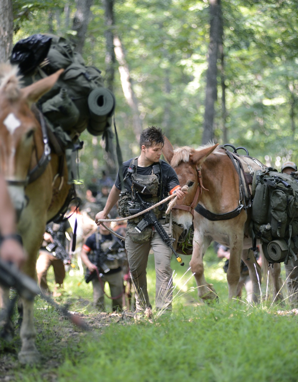 Robin Sage Exercise Tests Special Forces Students