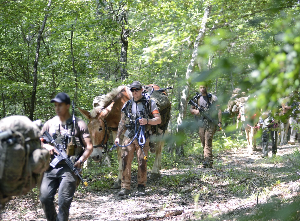 Robin Sage Exercise Tests Special Forces Students