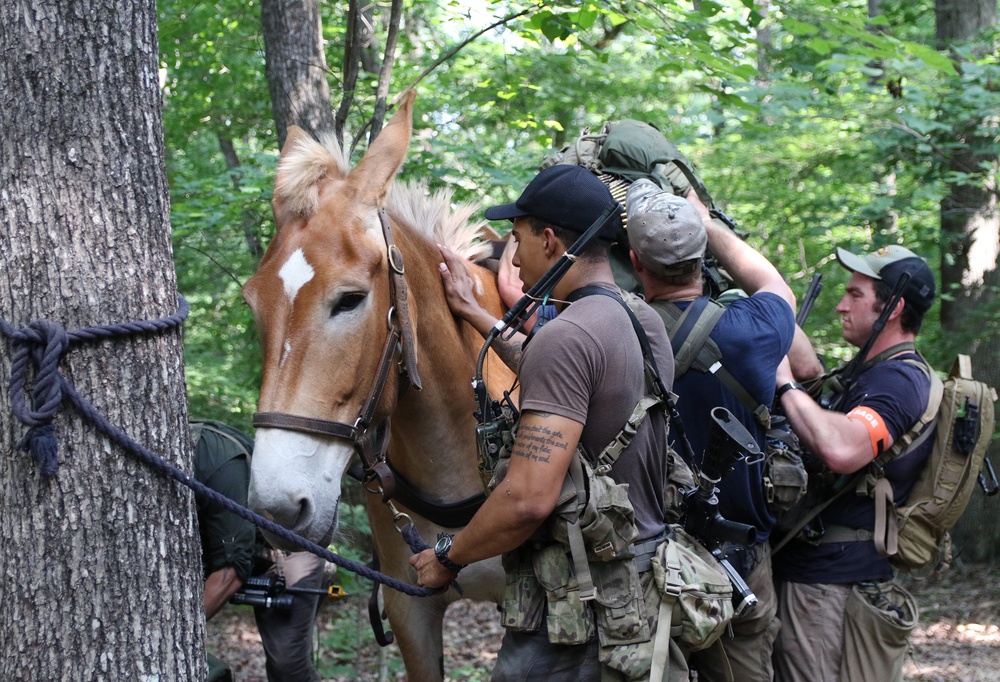 Robin Sage Exercise Tests Special Forces Students