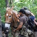 Robin Sage Exercise Tests Special Forces Students