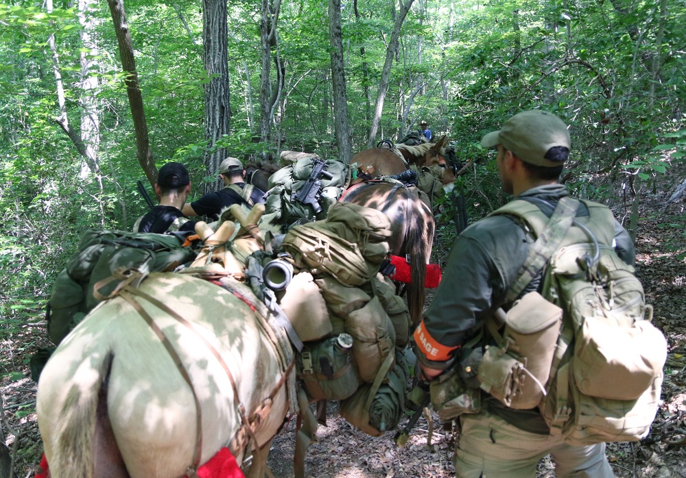 Robin Sage Exercise Tests Special Forces Students