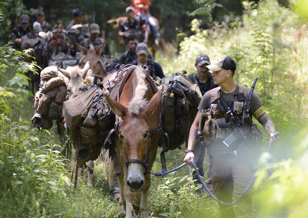 Robin Sage Exercise Tests Special Forces Students