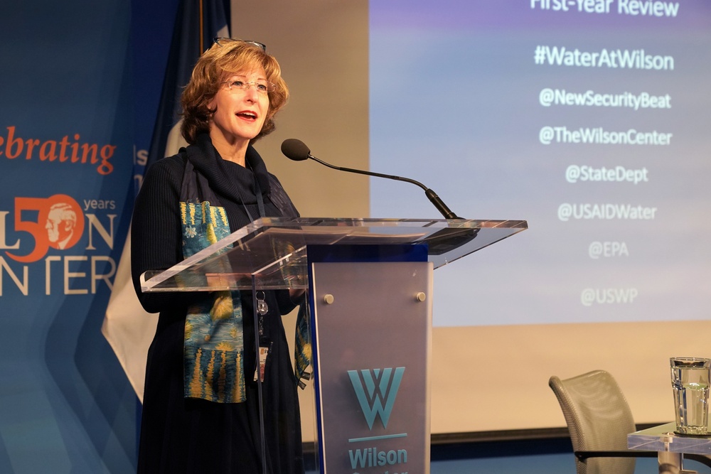 DAAID Bonnie Glick speaks on Global Water Strategy