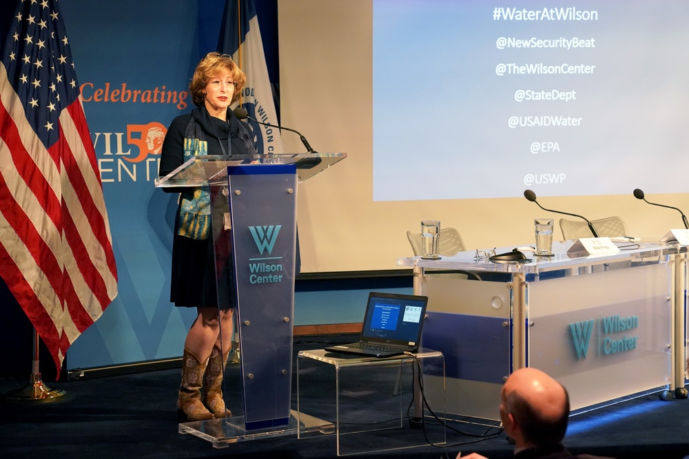 DAAID Bonnie Glick speaks on Global Water Strategy