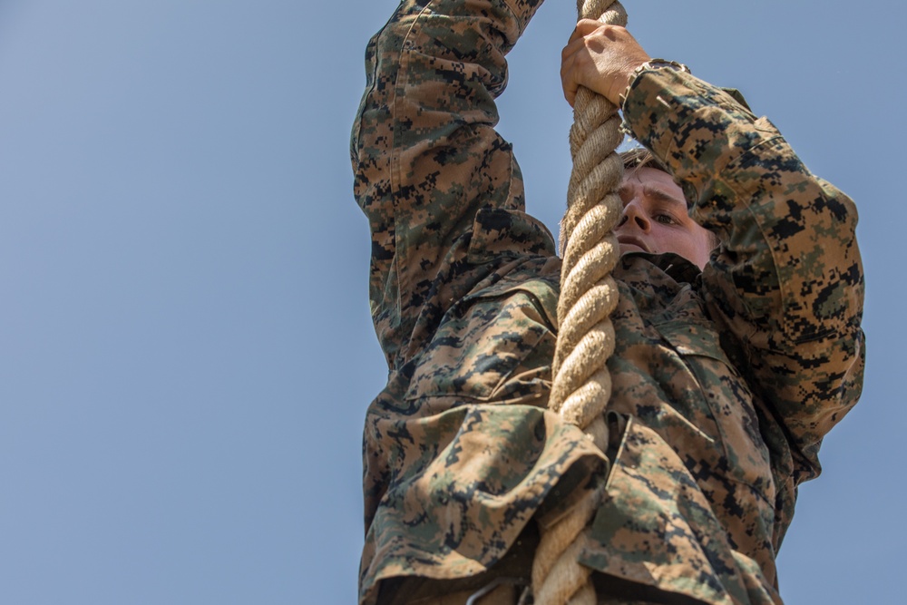 1st LAR Conducts Obstacle Course