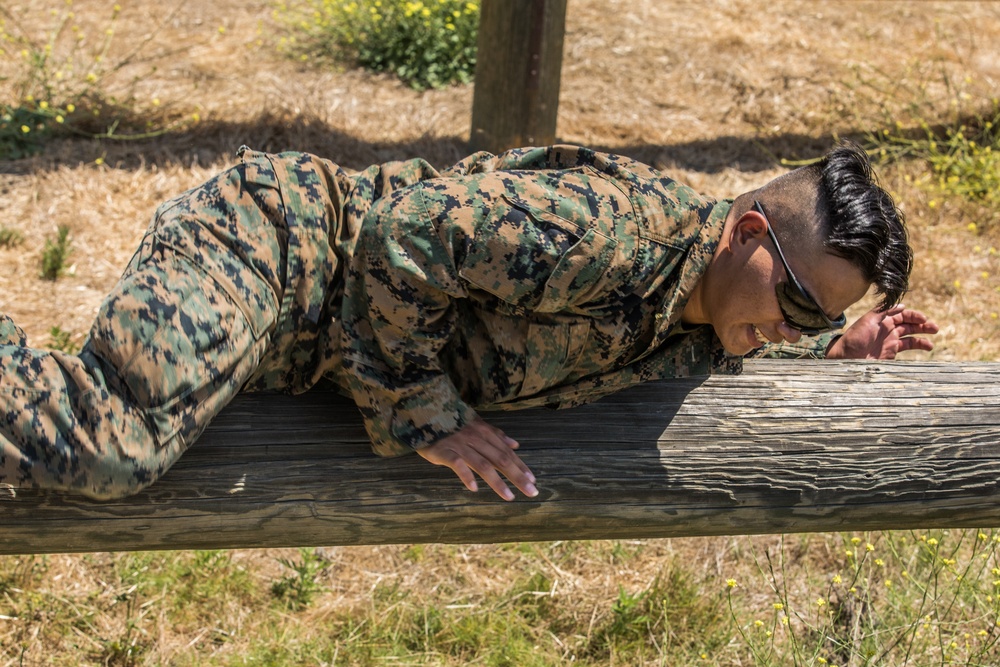 1st LAR Conducts Obstacle Course